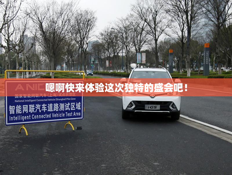 嗯啊快来体验这次独特的盛会吧！