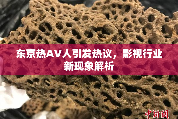 东京热AV人引发热议，影视行业新现象解析