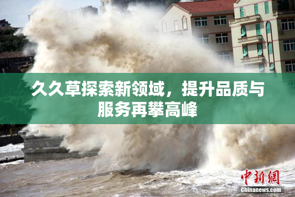 久久草探索新领域，提升品质与服务再攀高峰