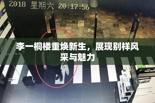 李一桐楼重焕新生，展现别样风采与魅力
