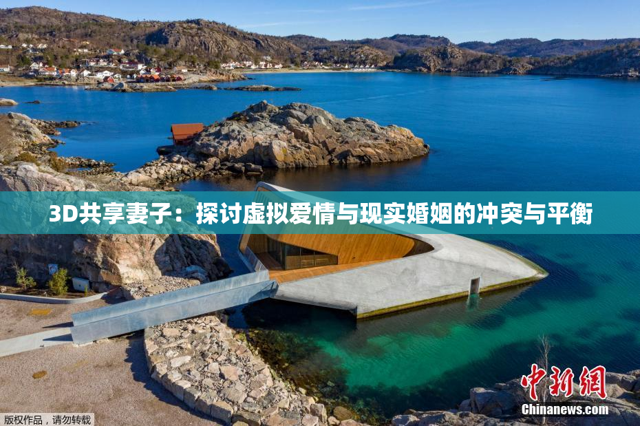 3D共享妻子：探讨虚拟爱情与现实婚姻的冲突与平衡