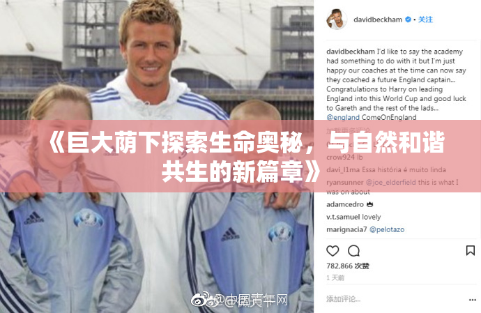 《巨大荫下探索生命奥秘，与自然和谐共生的新篇章》