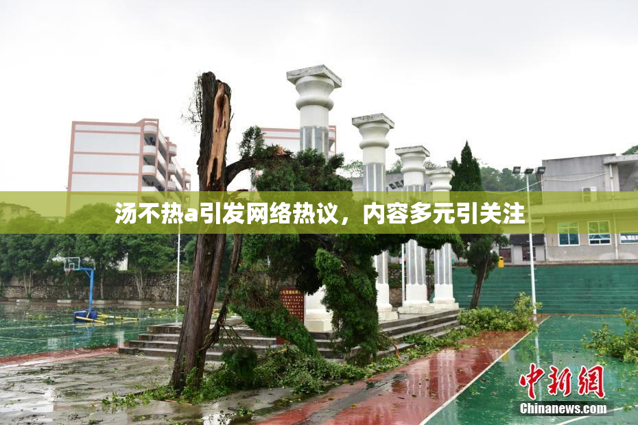 汤不热a引发网络热议，内容多元引关注