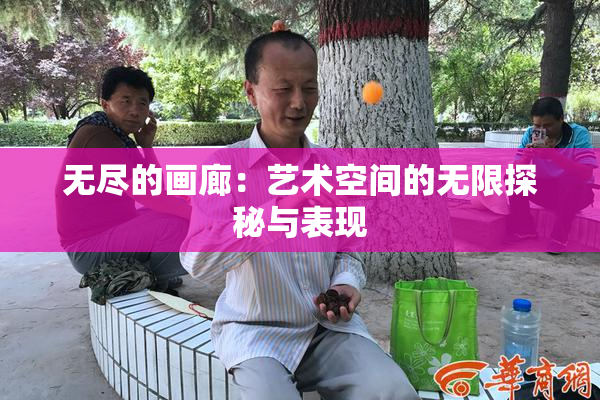 无尽的画廊：艺术空间的无限探秘与表现