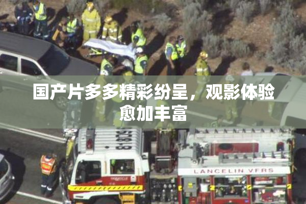 国产片多多精彩纷呈，观影体验愈加丰富