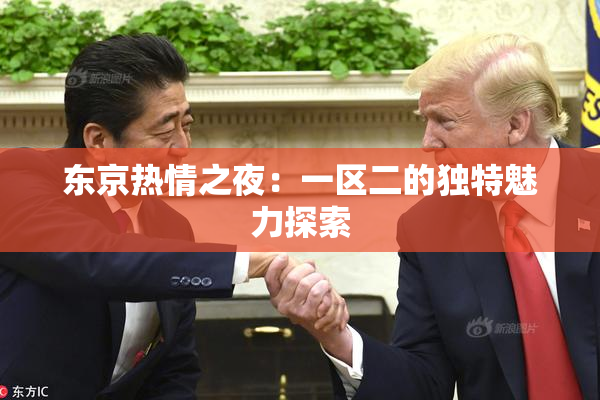 东京热情之夜：一区二的独特魅力探索