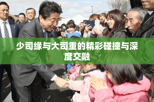 少司缘与大司重的精彩碰撞与深度交融