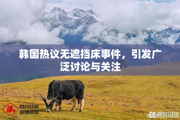 韩国热议无遮挡床事件，引发广泛讨论与关注
