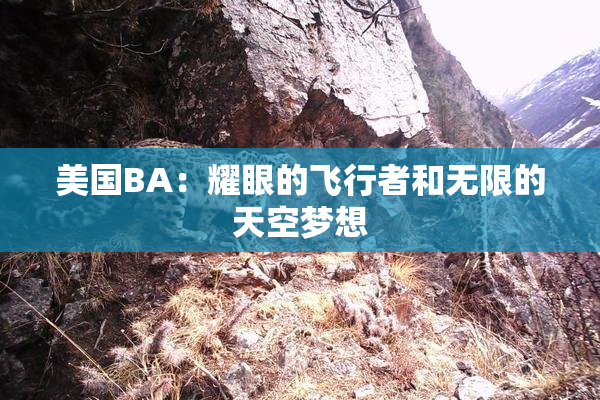 美国BA：耀眼的飞行者和无限的天空梦想