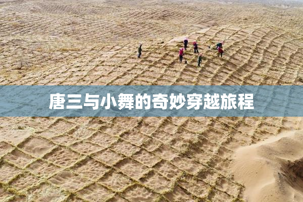 唐三与小舞的奇妙穿越旅程