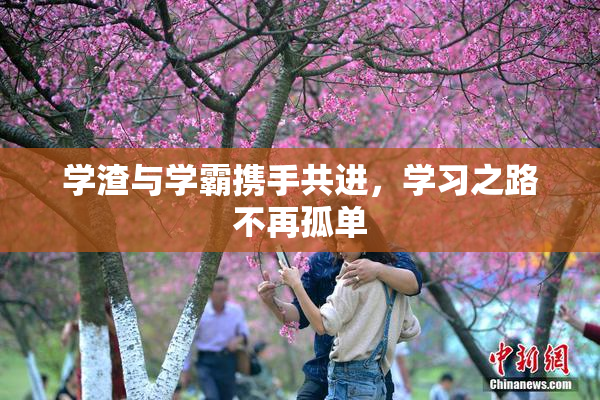 学渣与学霸携手共进，学习之路不再孤单