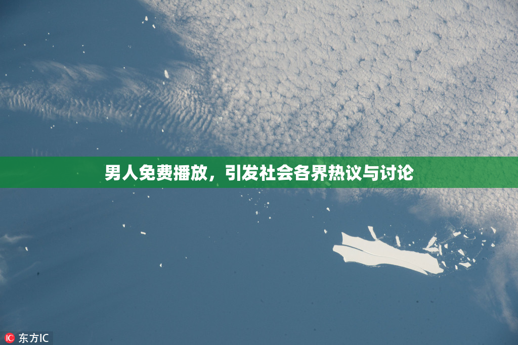 男人免费播放，引发社会各界热议与讨论
