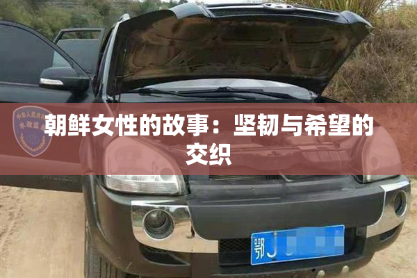 朝鲜女性的故事：坚韧与希望的交织