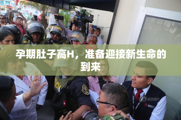 孕期肚子高H，准备迎接新生命的到来