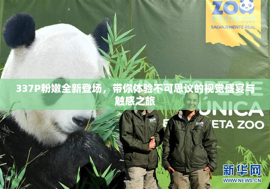 337P粉嫩全新登场，带你体验不可思议的视觉盛宴与触感之旅