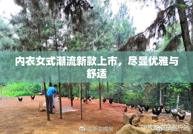 内衣女式潮流新款上市，尽显优雅与舒适