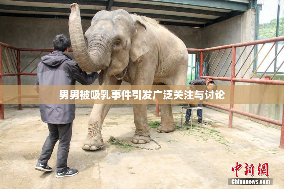 男男被吸乳事件引发广泛关注与讨论