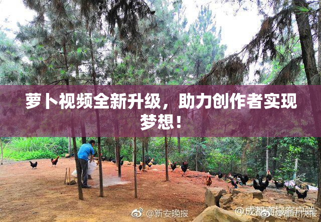 萝卜视频全新升级，助力创作者实现梦想！
