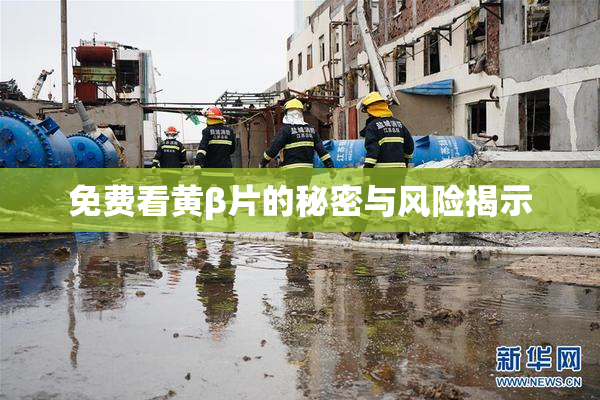 免费看黄β片的秘密与风险揭示