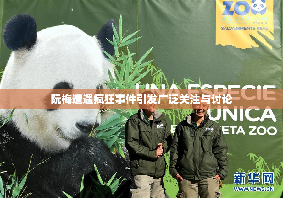 阮梅遭遇疯狂事件引发广泛关注与讨论