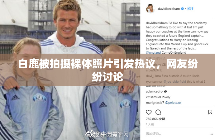 白鹿被拍摄裸体照片引发热议，网友纷纷讨论