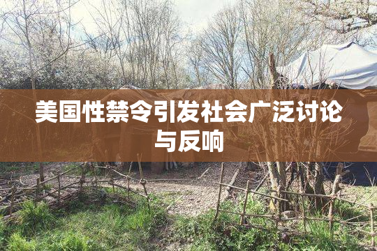 美国性禁令引发社会广泛讨论与反响
