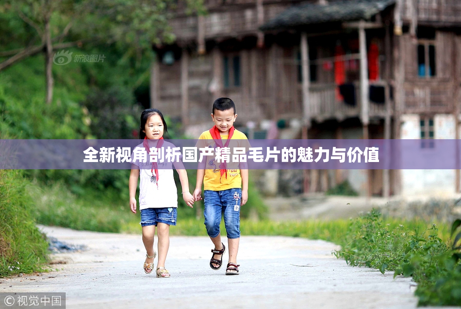 全新视角剖析国产精品毛片的魅力与价值