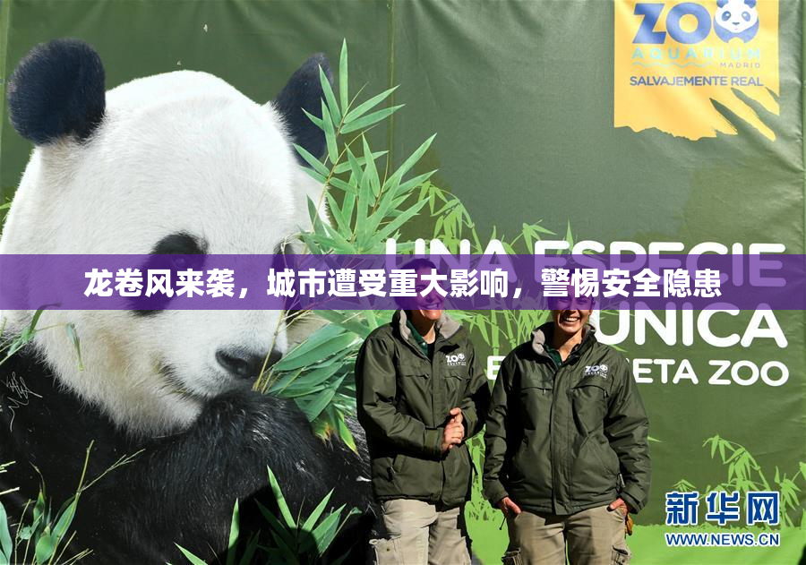 龙卷风来袭，城市遭受重大影响，警惕安全隐患