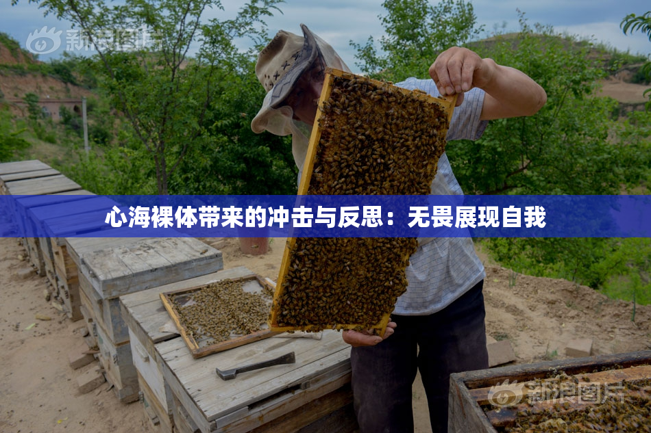 心海裸体带来的冲击与反思：无畏展现自我