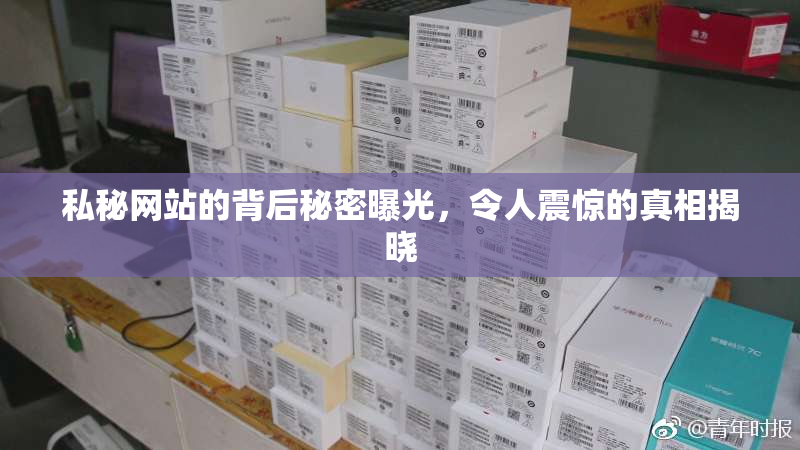 私秘网站的背后秘密曝光，令人震惊的真相揭晓