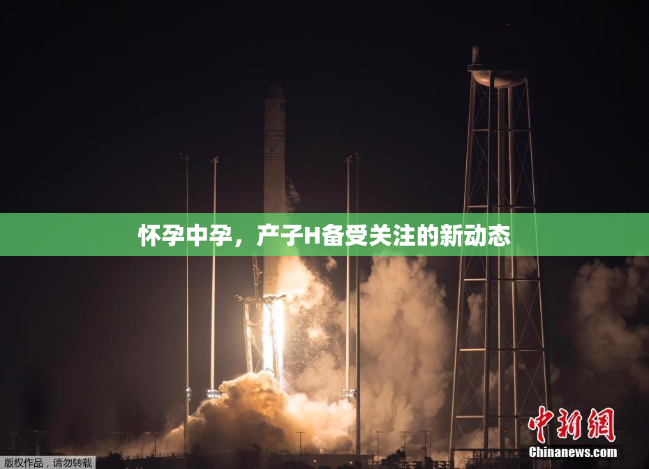 怀孕中孕，产子H备受关注的新动态
