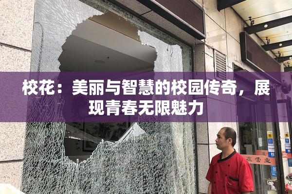 校花：美丽与智慧的校园传奇，展现青春无限魅力