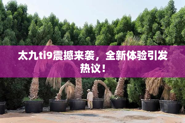 太九ti9震撼来袭，全新体验引发热议！