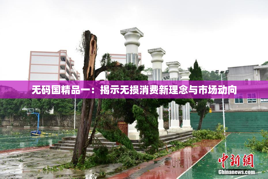 无码国精品一：揭示无损消费新理念与市场动向