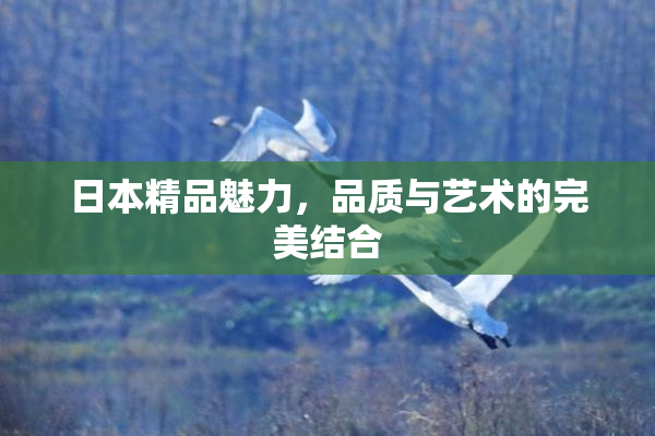 日本精品魅力，品质与艺术的完美结合