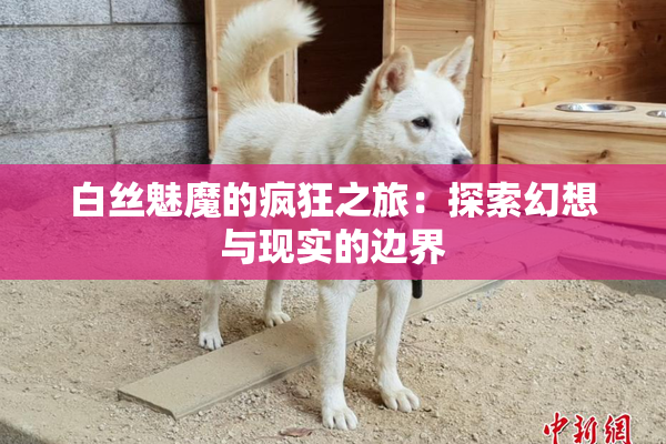 白丝魅魔的疯狂之旅：探索幻想与现实的边界