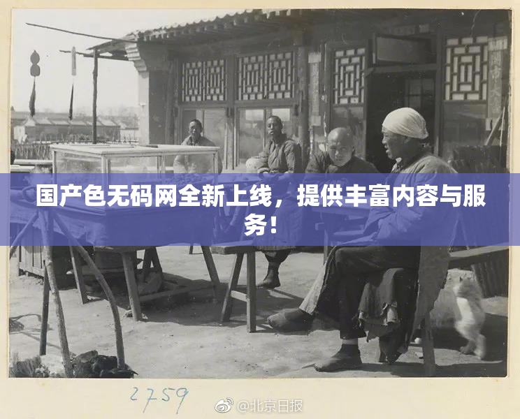 国产色无码网全新上线，提供丰富内容与服务！