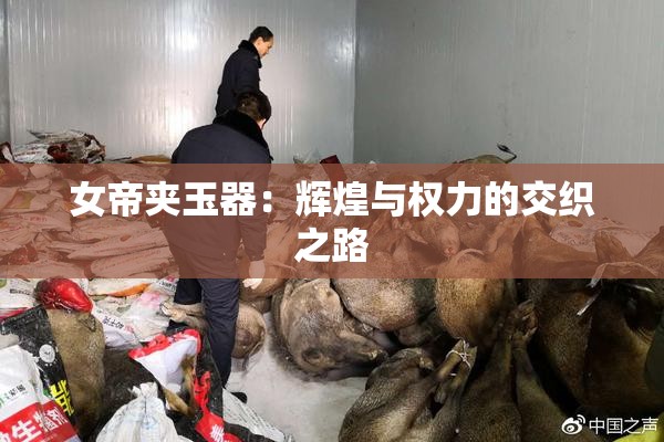 女帝夹玉器：辉煌与权力的交织之路