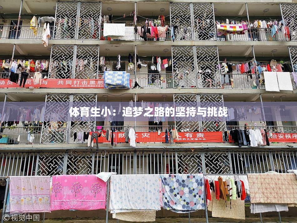 体育生小：追梦之路的坚持与挑战