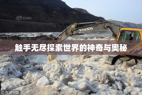 触手无尽探索世界的神奇与奥秘