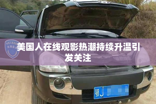 美国人在线观影热潮持续升温引发关注