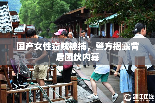 国产女性窃贼被捕，警方揭露背后团伙内幕