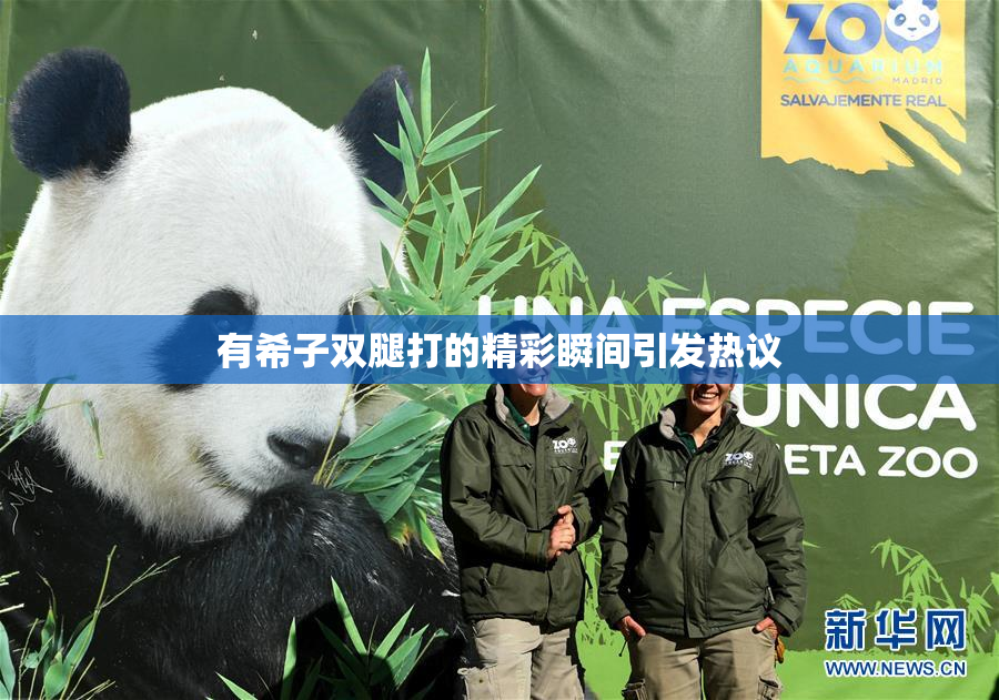 有希子双腿打的精彩瞬间引发热议