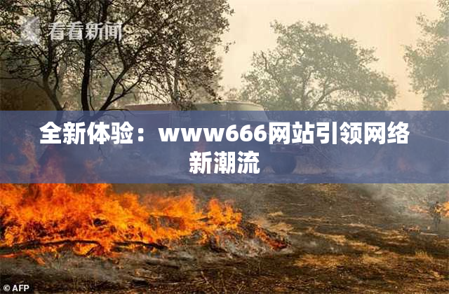全新体验：www666网站引领网络新潮流