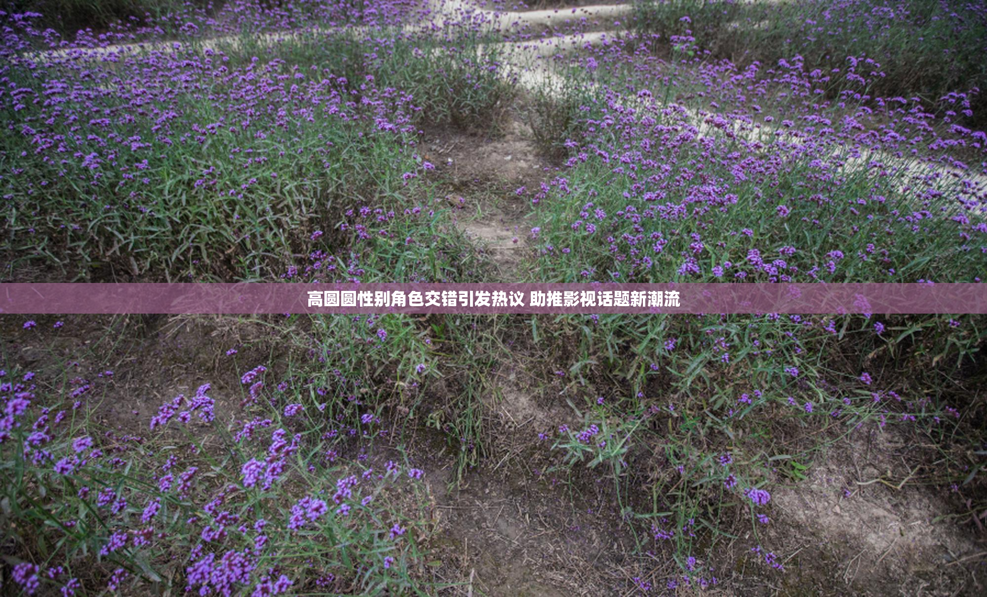 高圆圆性别角色交错引发热议 助推影视话题新潮流