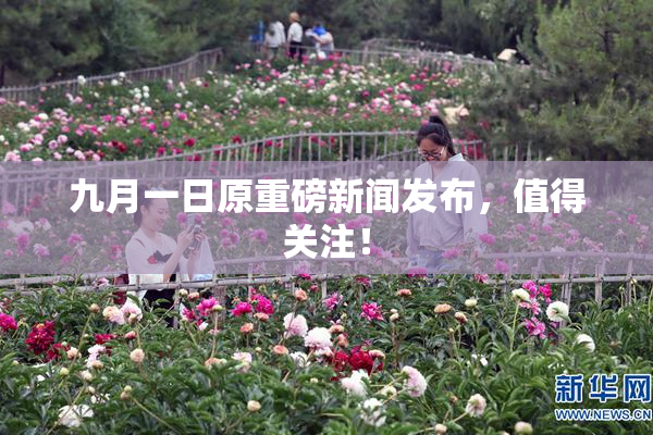 九月一日原重磅新闻发布，值得关注！