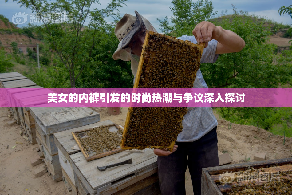 美女的内裤引发的时尚热潮与争议深入探讨