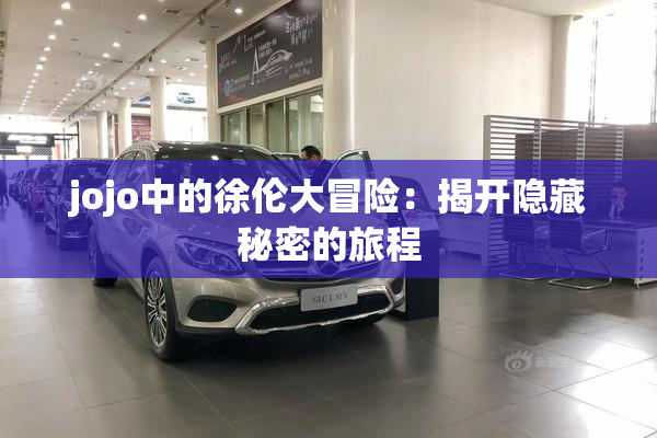 jojo中的徐伦大冒险：揭开隐藏秘密的旅程
