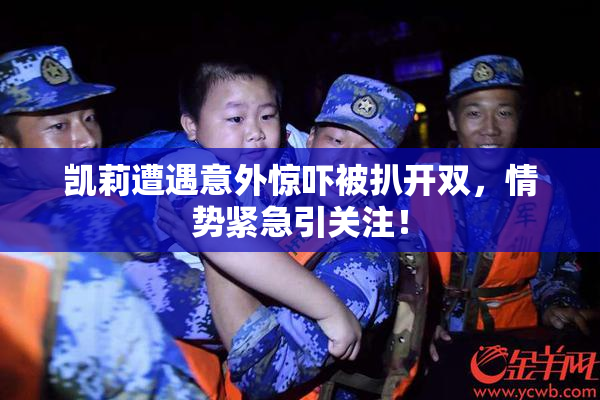 凯莉遭遇意外惊吓被扒开双，情势紧急引关注！