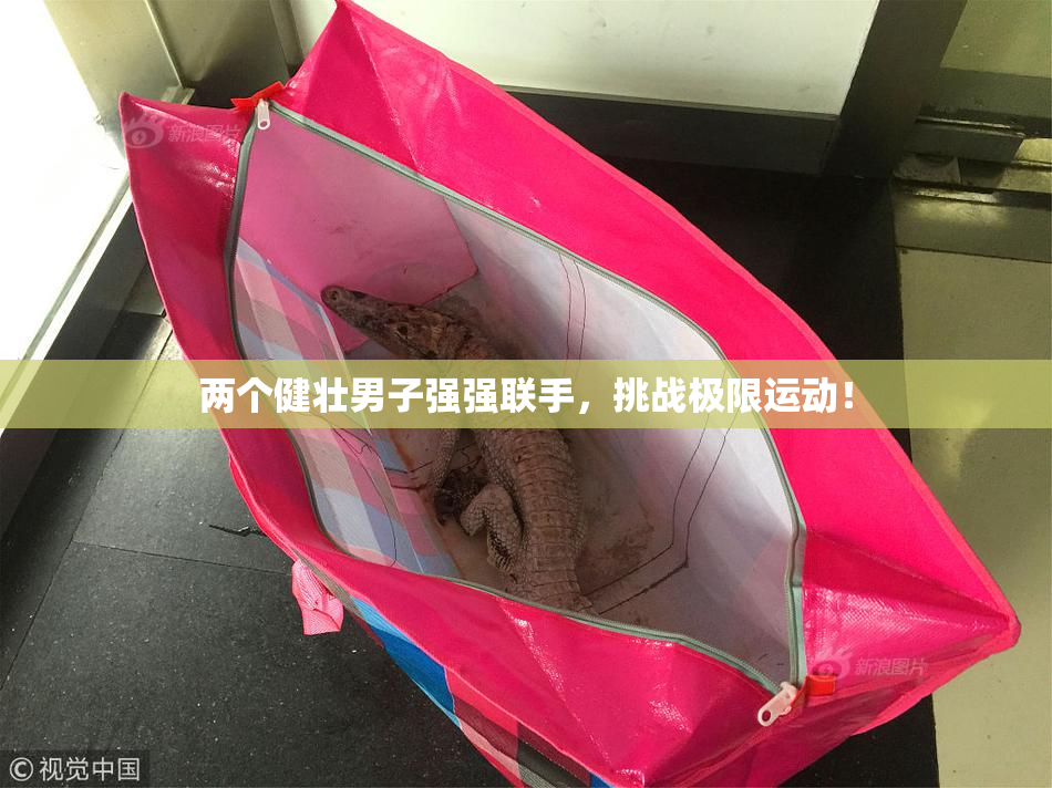 两个健壮男子强强联手，挑战极限运动！